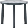 VidaXL Tuintafel 89 cm kunststof groen online kopen