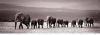 Reinders! Artprint op hout Decoratief paneel 52x156 Line of Elephants online kopen